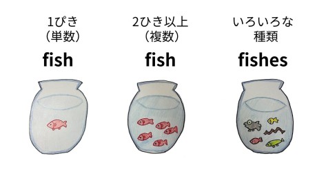 ish　が不可算名詞になる場合と可算名詞として使う場合を絵で説明。水槽に1匹の金魚　水槽に2ひき以上の金魚。水槽に色々な州類の魚
